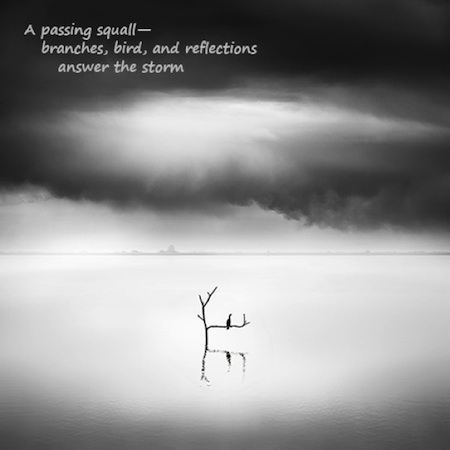 A passing squall: haiga (photograph and poem) by George Digalakis and Gary S. Rosin