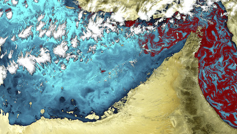 Photograph: Toxic Algae Bloom, by ESA (European Space Agency)