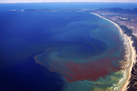 Photograph: Toxic Algae Bloom, by ESA (European Space Agency)