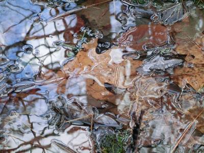 [Lamprey River, Christmas 2014] by David Victor Feldman