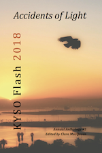 Front Cover of Accidents of Light: KYSO Flash Anthology 2018