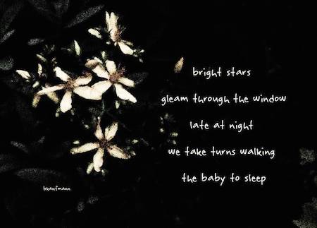 Bright Stars, taiga (poem and artwork) by Barbara Kaufmann