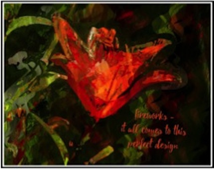 fireworks, haiga (poem and visual art) by Barbara Kaufmann