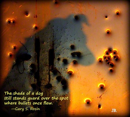 The Shade of a Dog, haiga (art plus poetry) by J.R. Lancaster and Gary S. Rosin