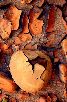 Photograph by J.R. Lancaster: Rock On (White Canyon mud-caked rock)