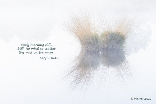 Mist on the Moor, haiga (art plus poetry) by Michael Lucas and Gary S. Rosin