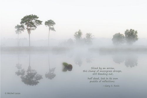 Tranquility in White, haiga (art plus poetry) by Michael Lucas and Gary S. Rosin