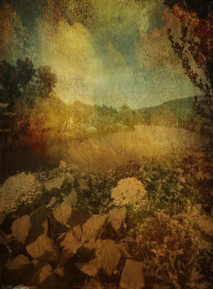 Digital art: [Hydrangeas], by An Mayou