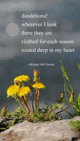 [dandelions!] tanka by Michael McClintock and art by Karen McClintock