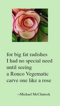 [for big fat radishes] tanka by Michael McClintock and art by Karen McClintock