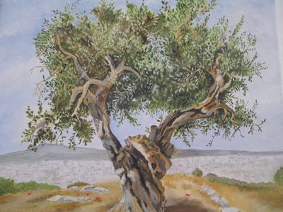 The Wisdom of the Olive Tree, by Frances Melis