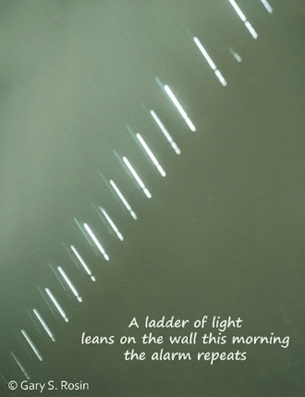 A ladder of light: haiga (poem and photograph) by Gary S. Rosin