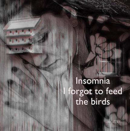 Digital Art: Insomnia, haiga by Alexis Rotella