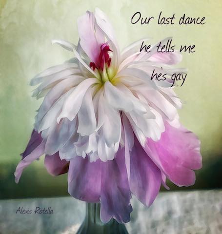 Digital Art: Our last dance, haiga by Alexis Rotella