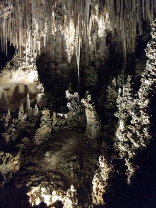 Photograph: Calcite formations (Carlsbad Caverns, New Mexico) by Cindy L. Sheppard