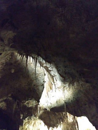 Photograph: Cavern ceiling (Carlsbad Caverns, New Mexico) by Cindy L. Sheppard