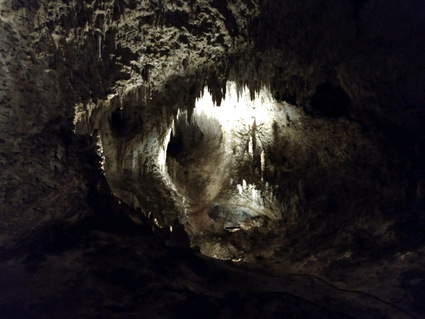 Photograph: Cavern interior (Carlsbad Caverns, New Mexico) by Cindy L. Sheppard
