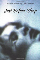 Front Cover of Just Before Sleep, by Dan Gilmore