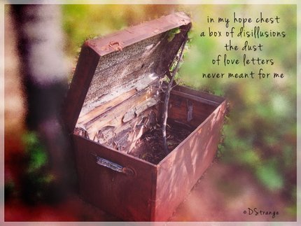 (in my hope chest): haiga by Debbie Strange