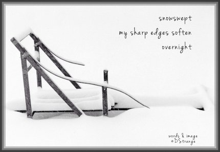 (snowswept): haiga by Debbie Strange