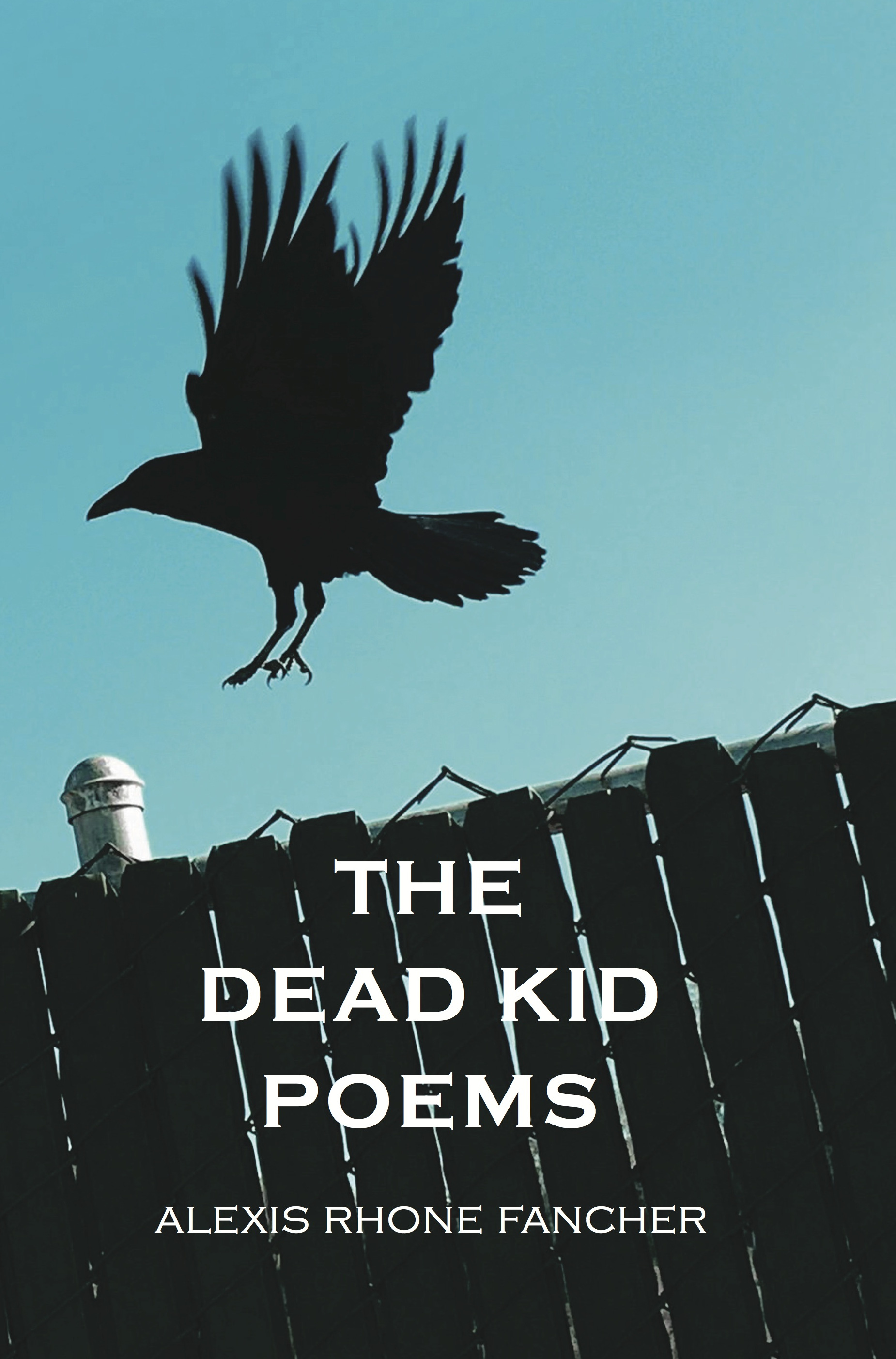 Front Cover of The Dead Kid Poems, by Alexis Rhone Fancher